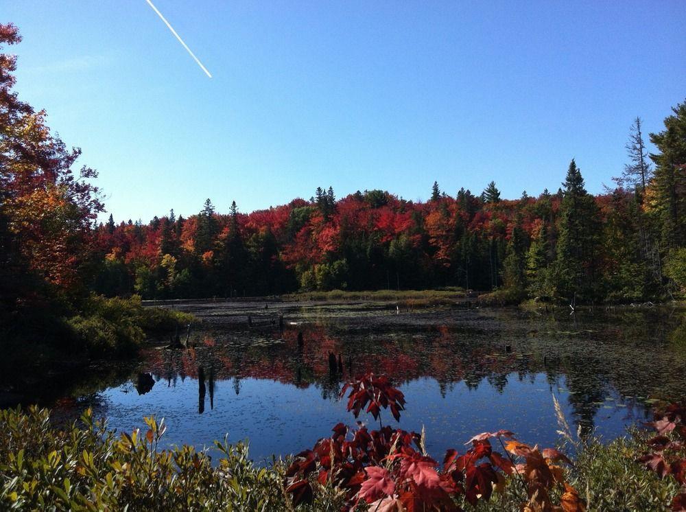 Glenview Cottages Sault Ste. Marie Exteriér fotografie